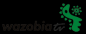 Cool TV & Wazobia TV logo